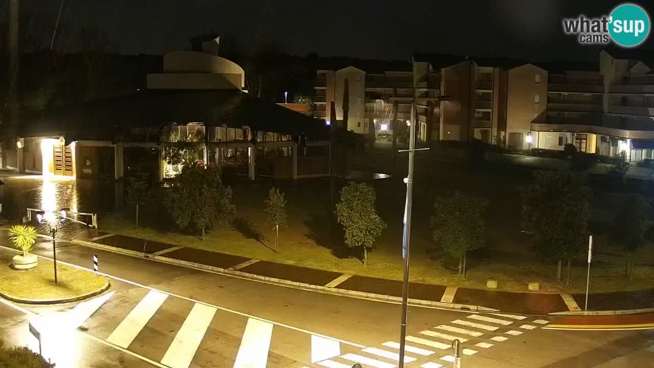 Livecam Rosolina mare