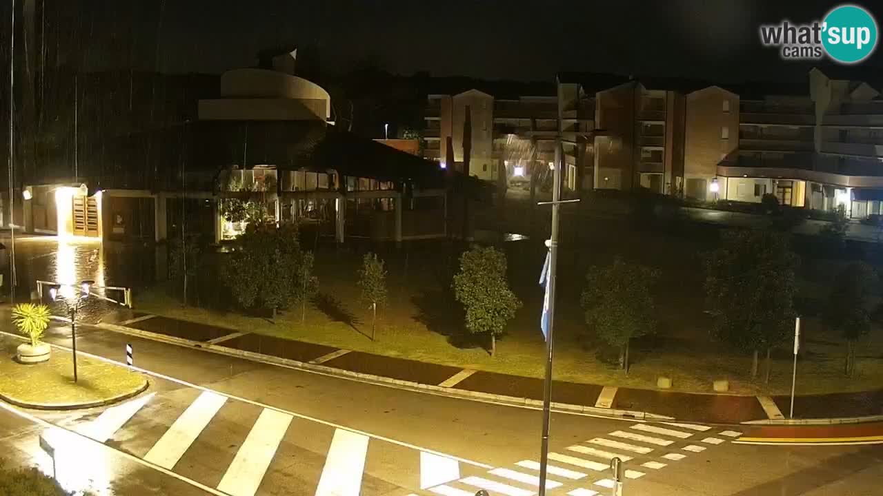 Livecam Rosolina mare