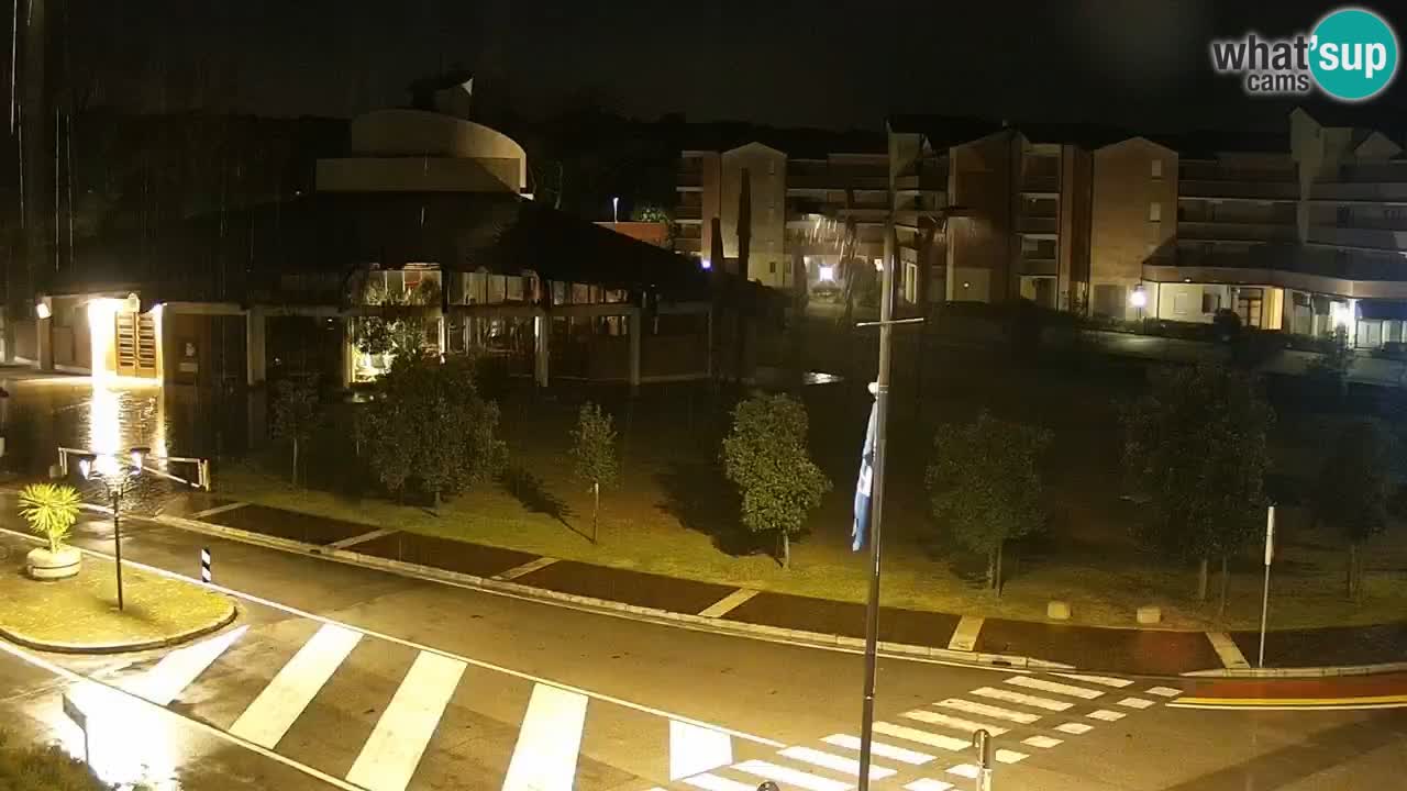 Camera en vivo Rosolina mare