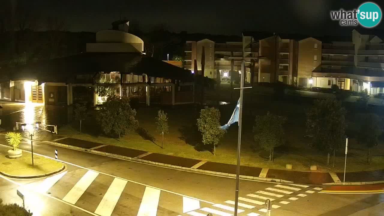 Camera en vivo Rosolina mare