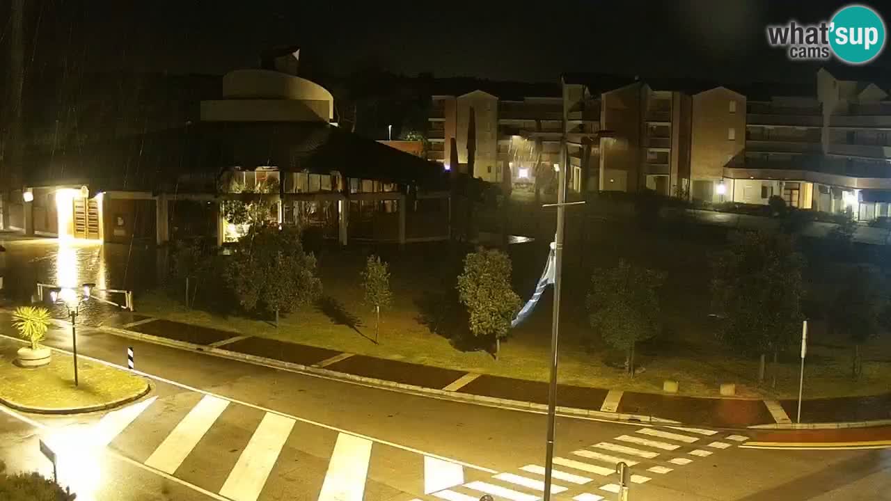 Web kamera Rosolina mare