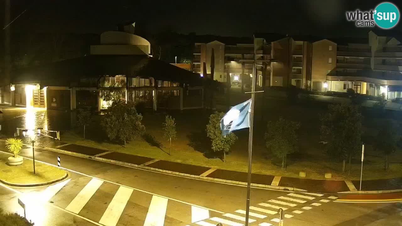 Livecam Rosolina mare