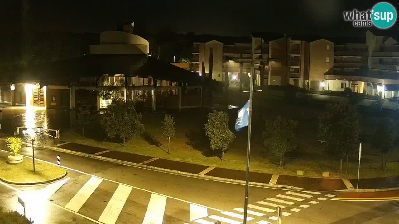 Camera en vivo Rosolina mare