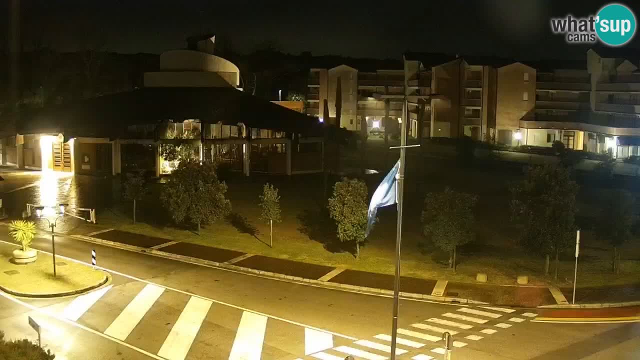 Livecam Rosolina mare