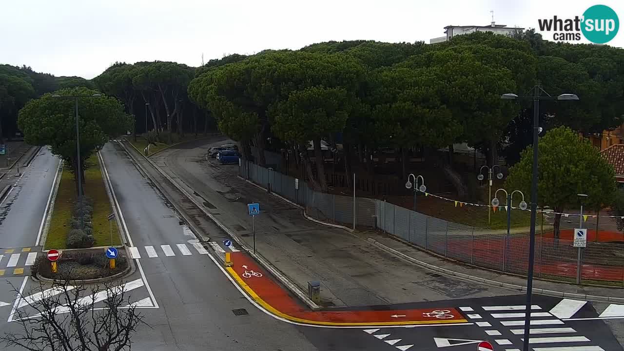 Livecam Rosolina mare