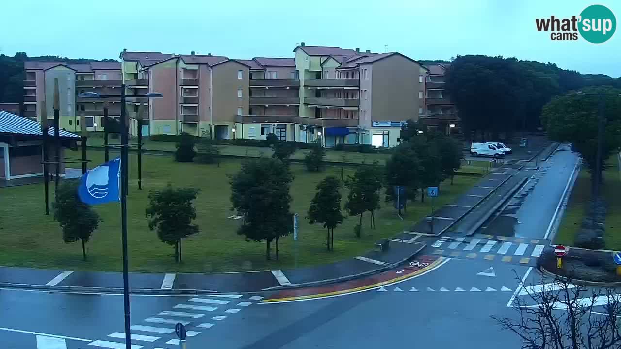 Livecam Rosolina mare