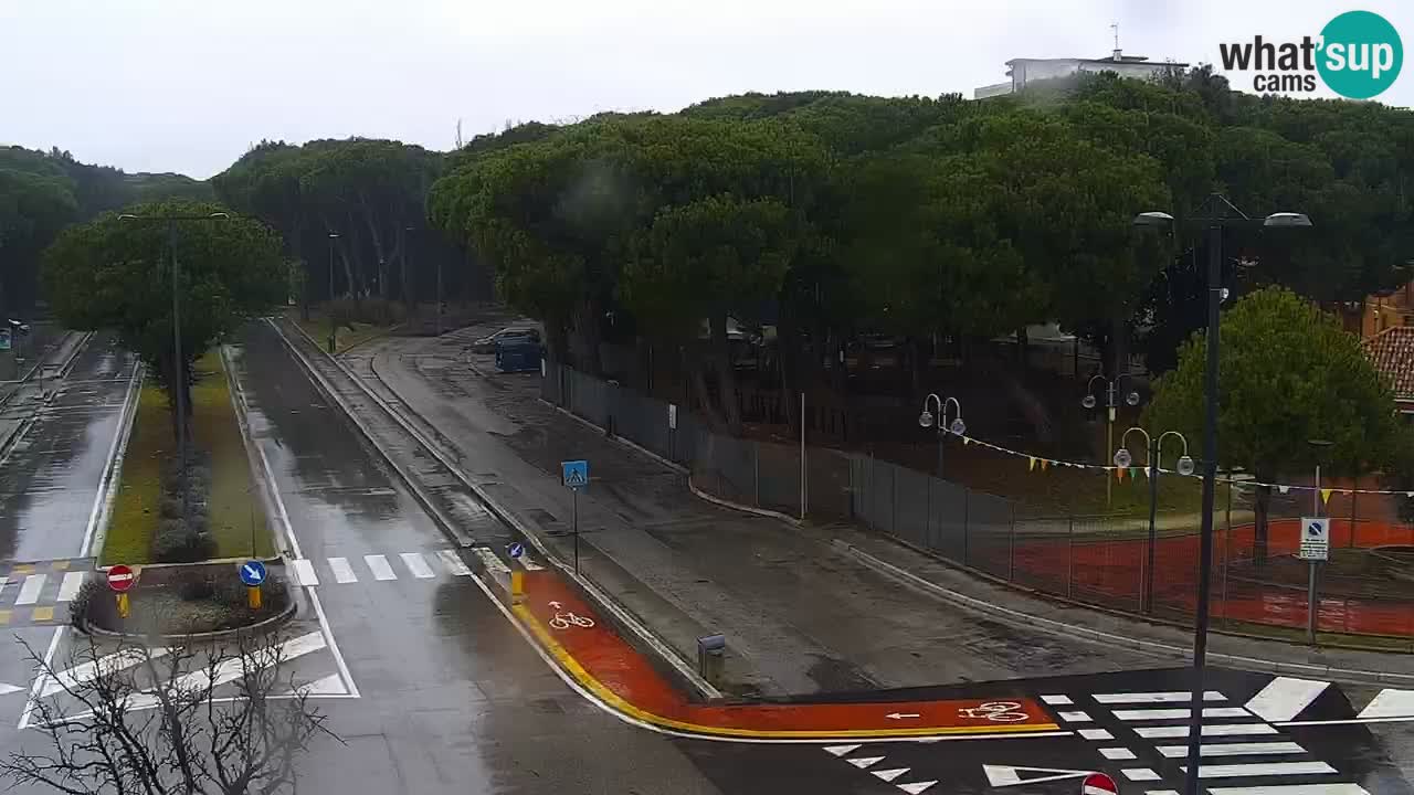 Livecam Rosolina mare