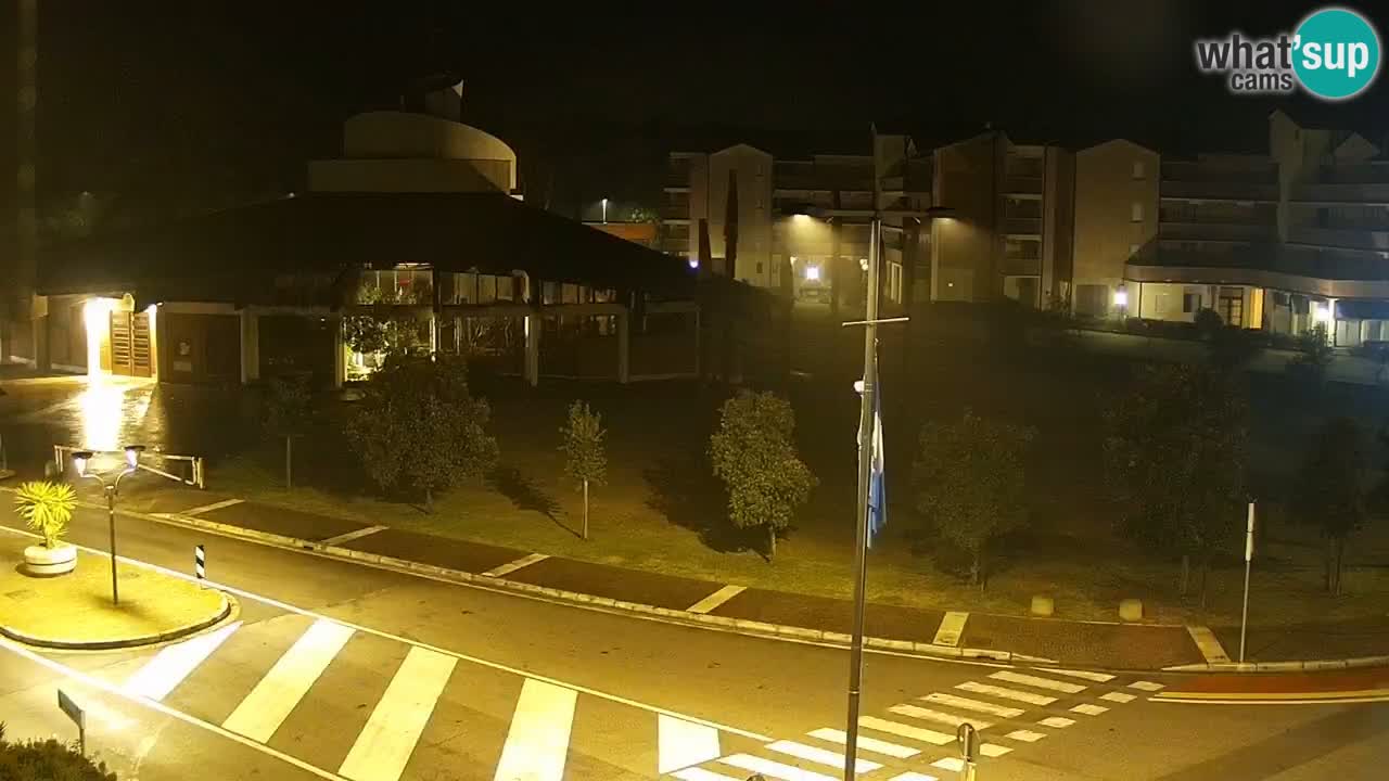 Livecam Rosolina mare