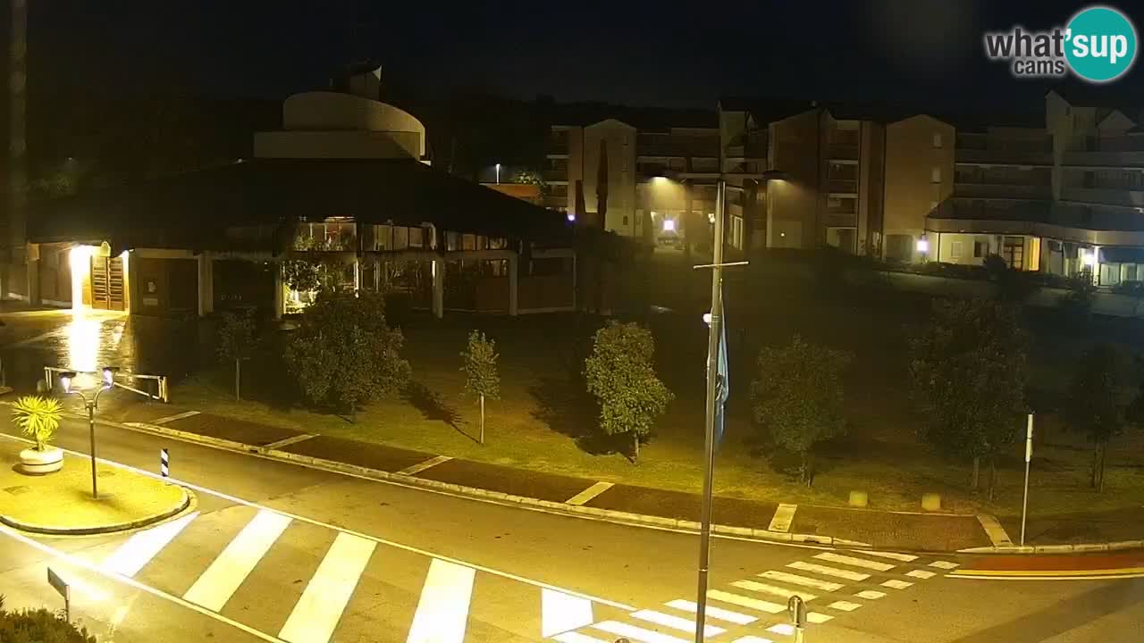 LIVE Webcam Rosolina mare – City center