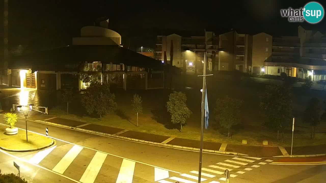 Livecam Rosolina mare