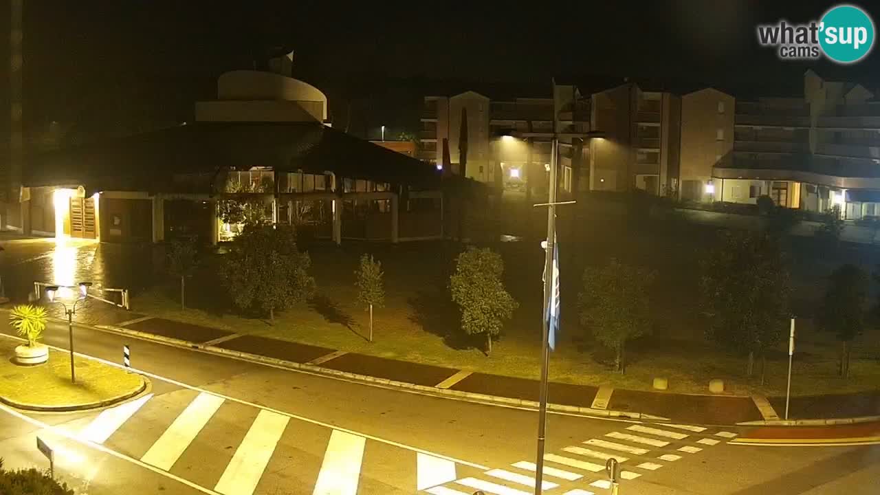 Camera en vivo Rosolina mare