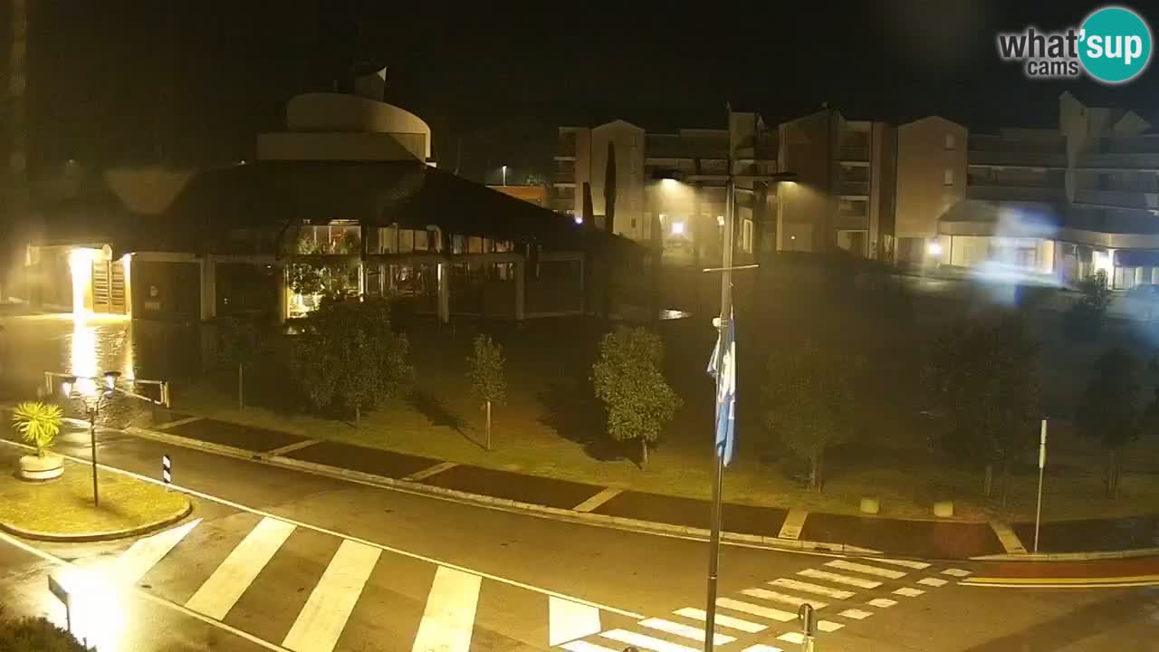 Livecam Rosolina mare