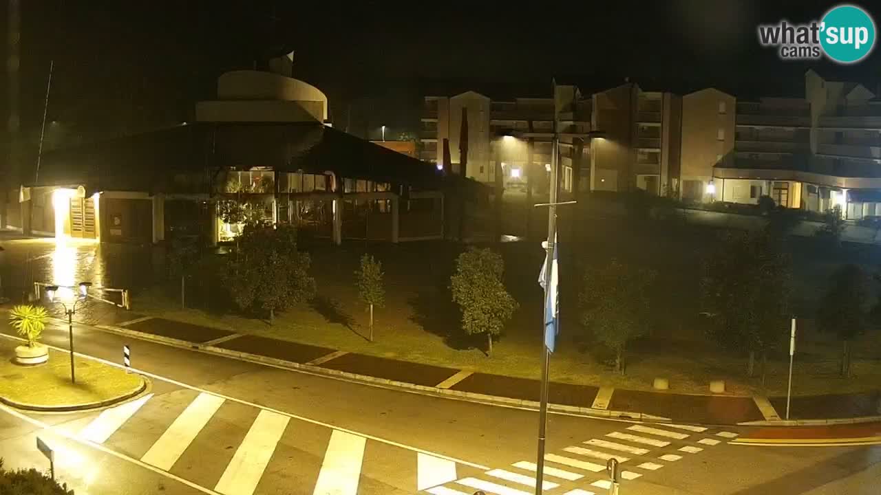 Camera en vivo Rosolina mare