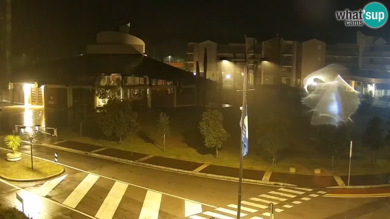 Livecam Rosolina mare