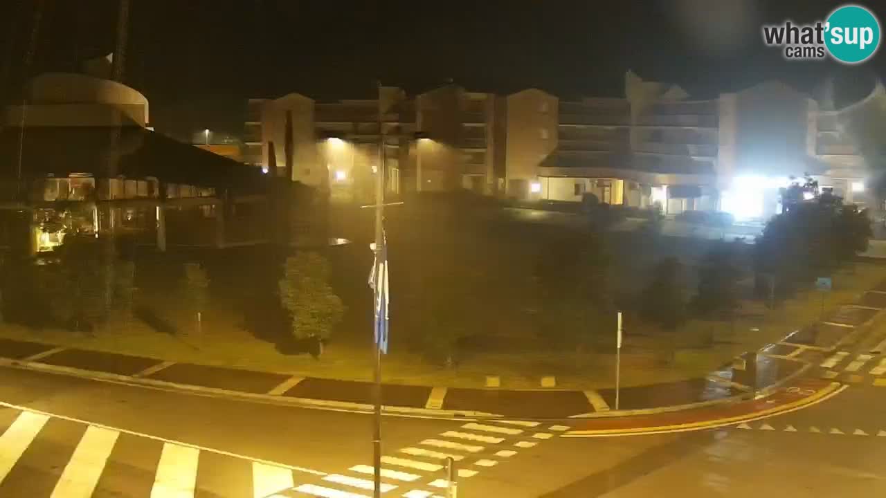 Camera en vivo Rosolina mare