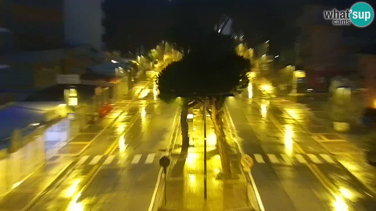 Livecam Rosolina mare