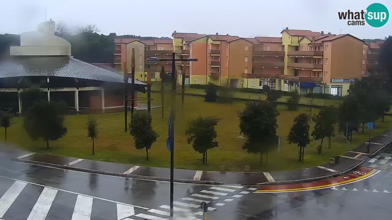 Camera en vivo Rosolina mare