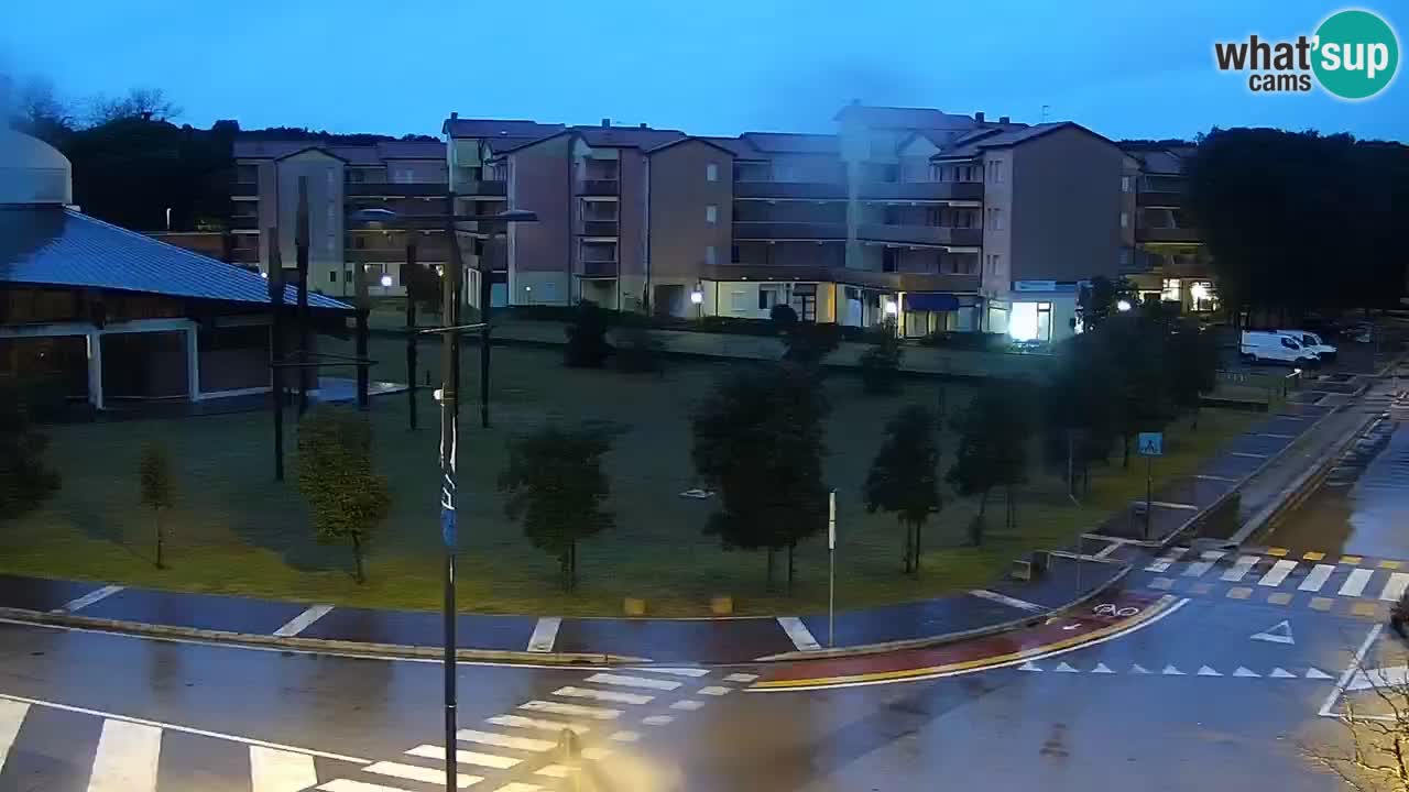 Camera en vivo Rosolina mare