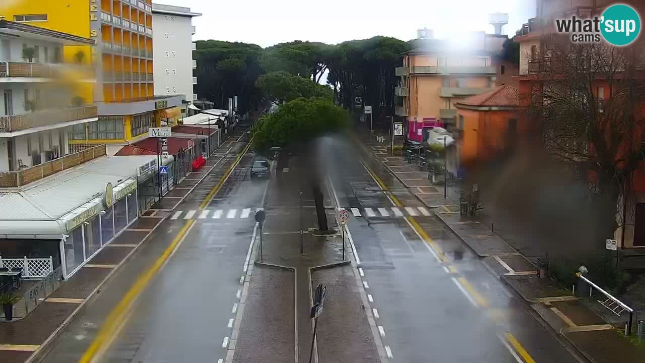 Camera en vivo Rosolina mare