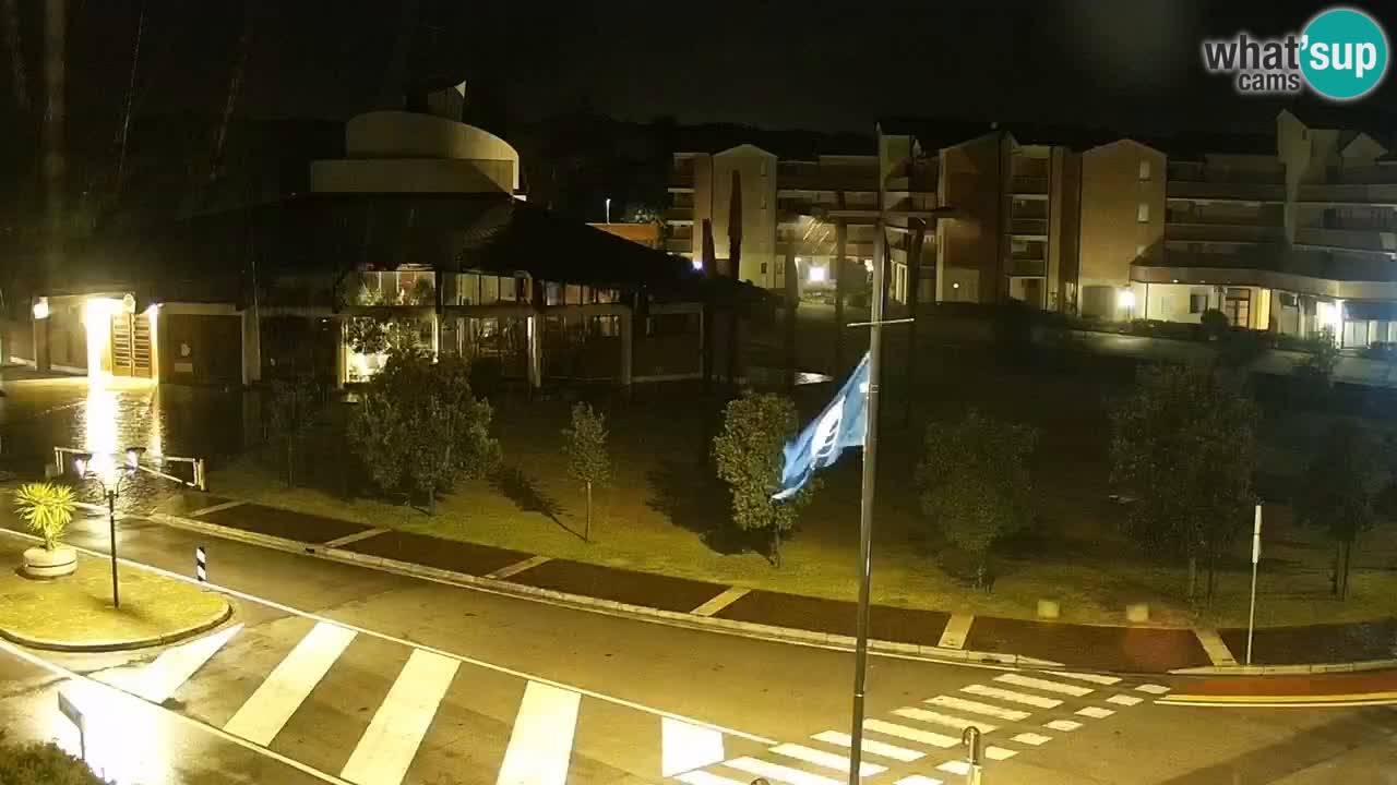 Livecam Rosolina mare