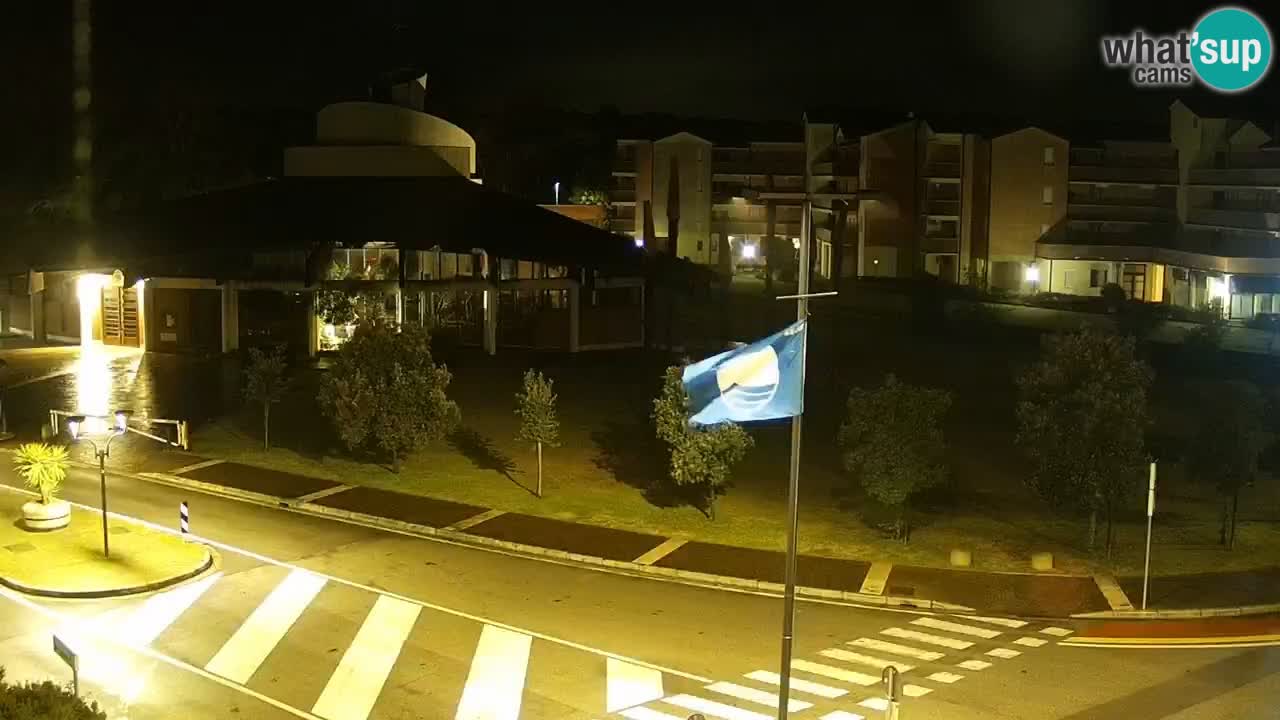 Camera en vivo Rosolina mare