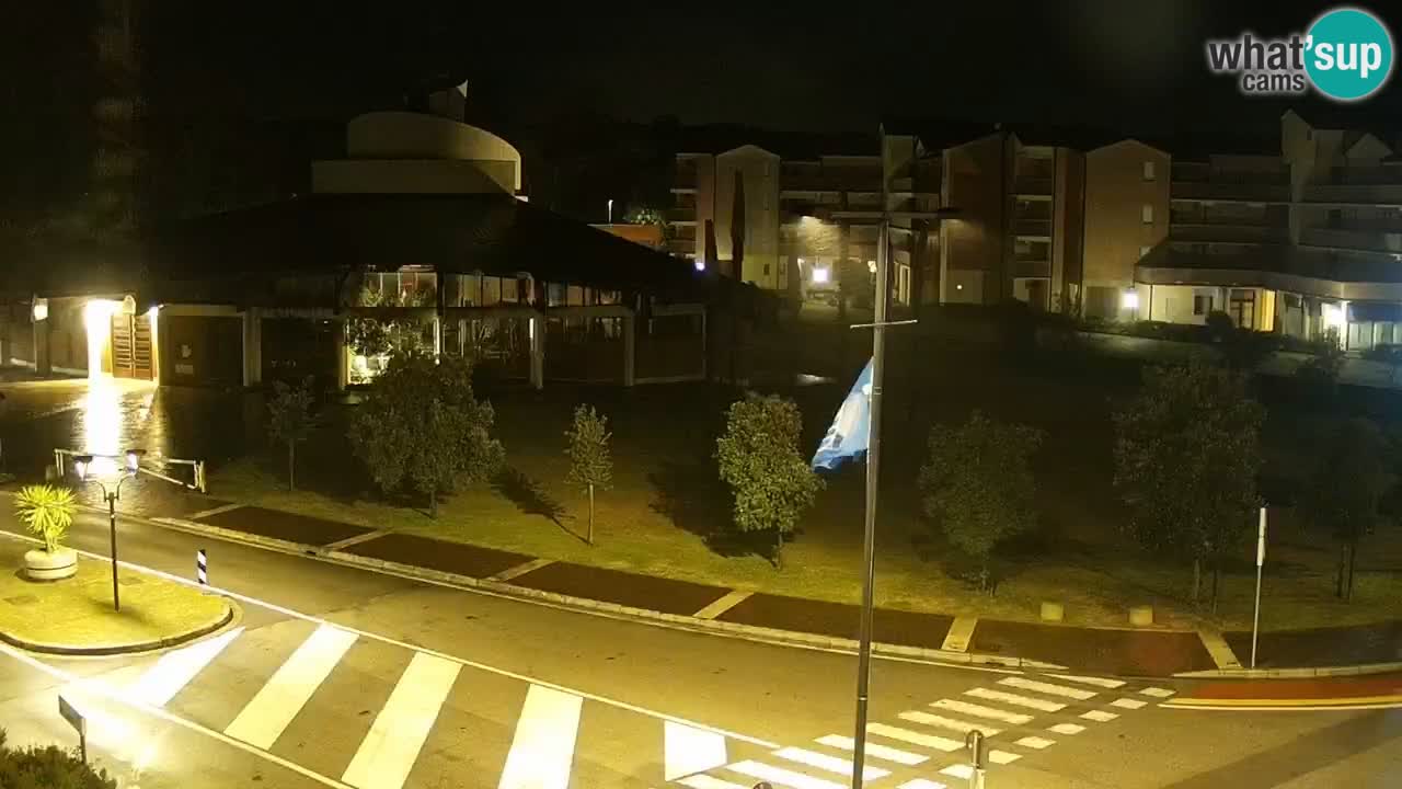 Camera en vivo Rosolina mare