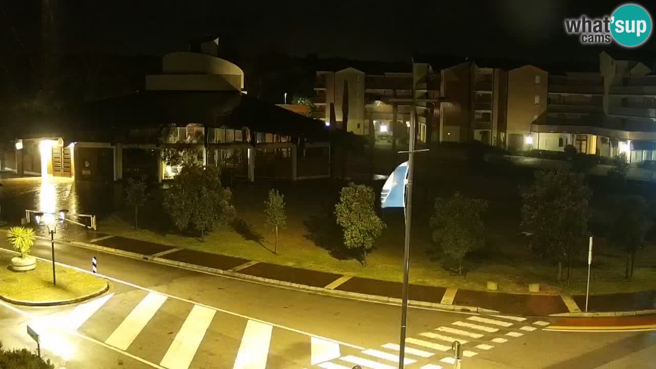 Camera en vivo Rosolina mare