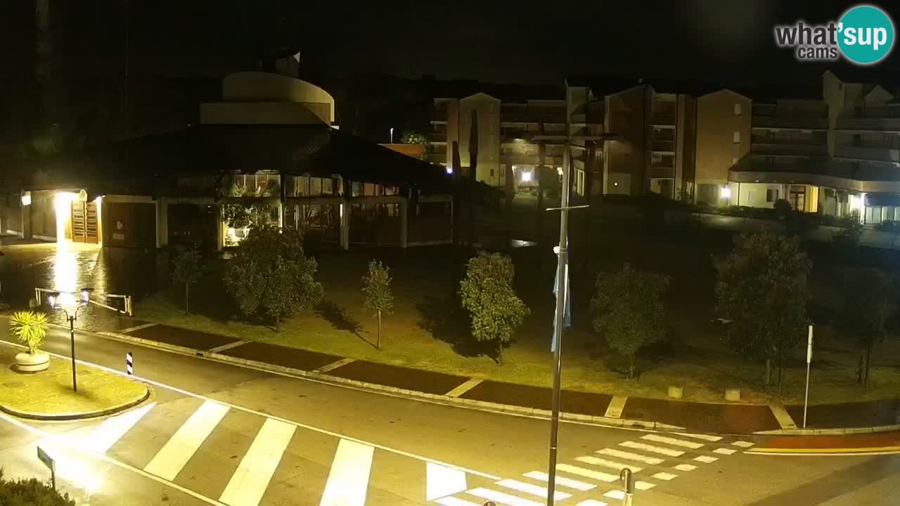 Camera en vivo Rosolina mare