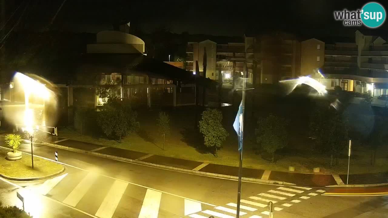 Livecam Rosolina mare