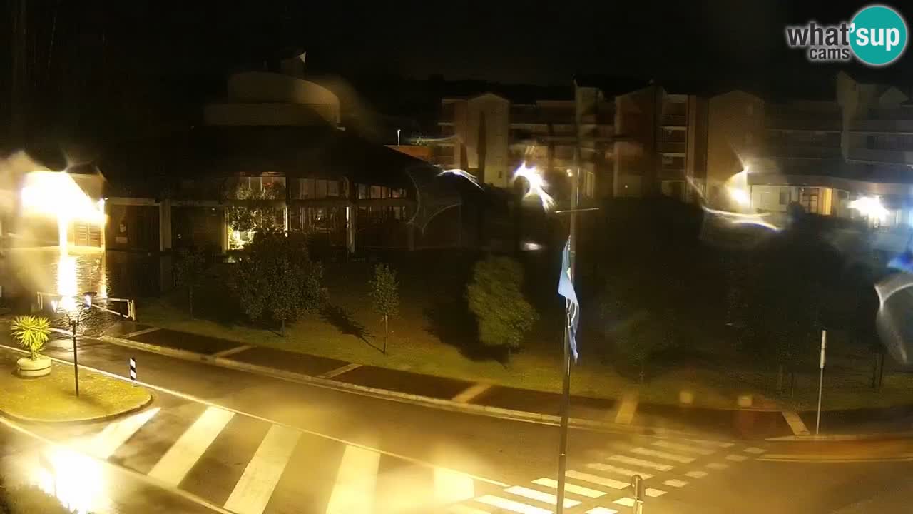 Camera en vivo Rosolina mare