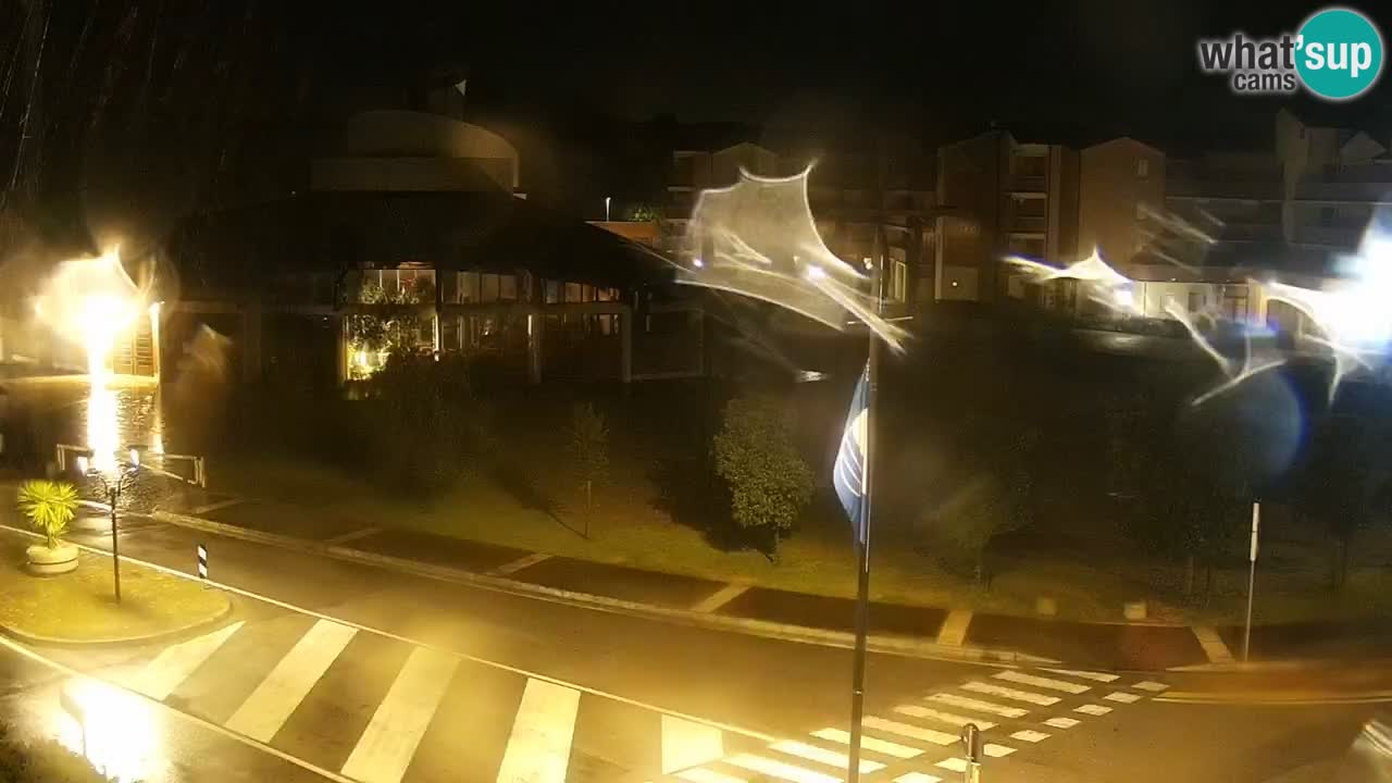 Livecam Rosolina mare