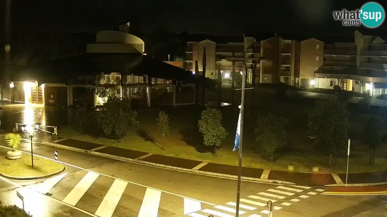 Camera en vivo Rosolina mare