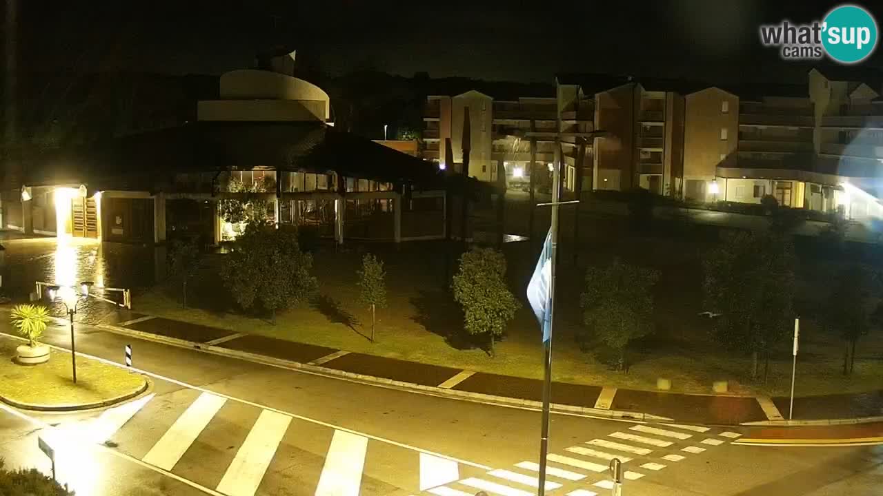 Camera en vivo Rosolina mare