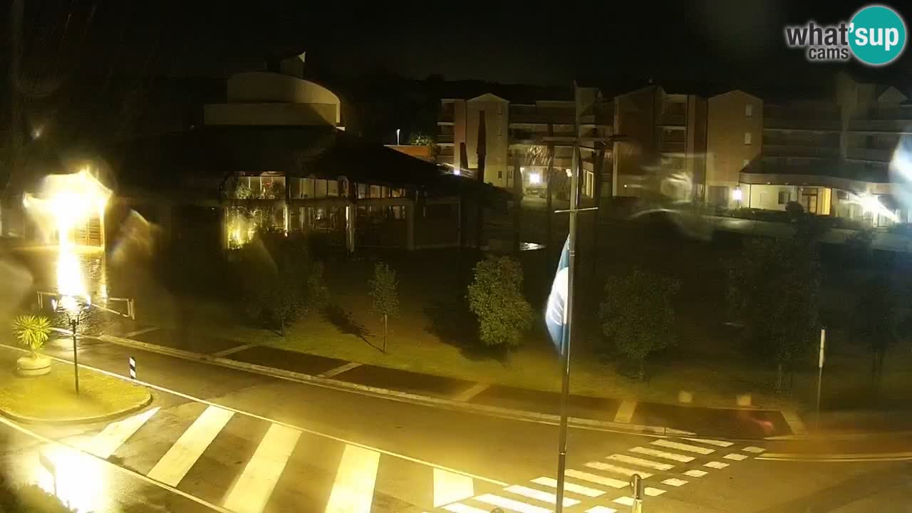 Livecam Rosolina mare