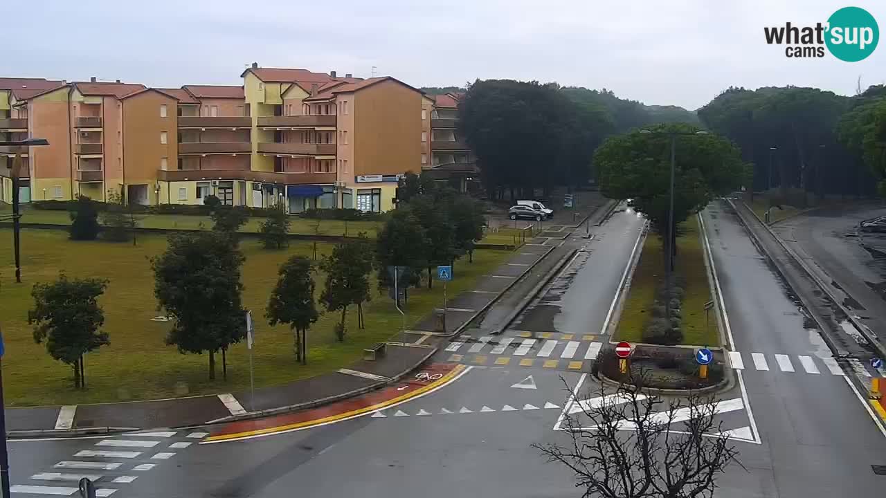 Camera en vivo Rosolina mare