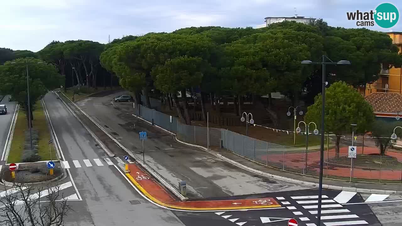 Livecam Rosolina mare