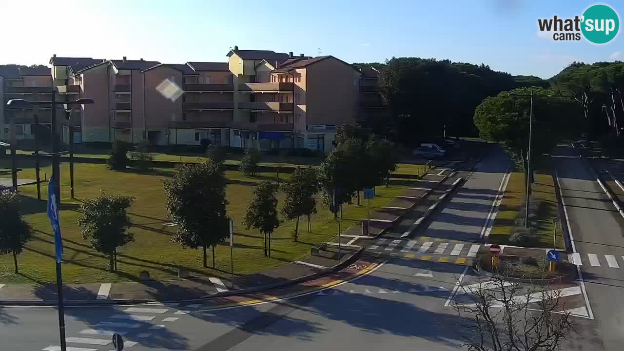 Camera en vivo Rosolina mare