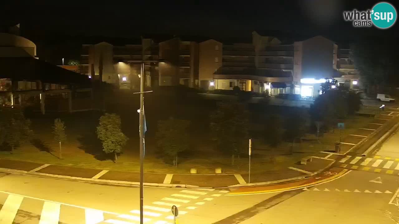 Camera en vivo Rosolina mare