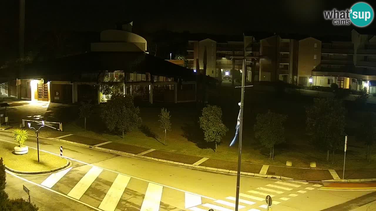 Livecam Rosolina mare