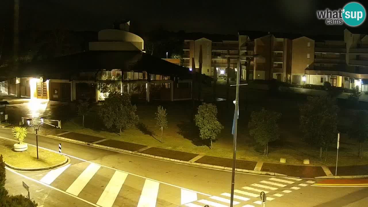 Camera en vivo Rosolina mare