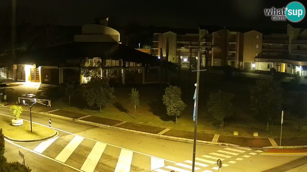 Livecam Rosolina mare