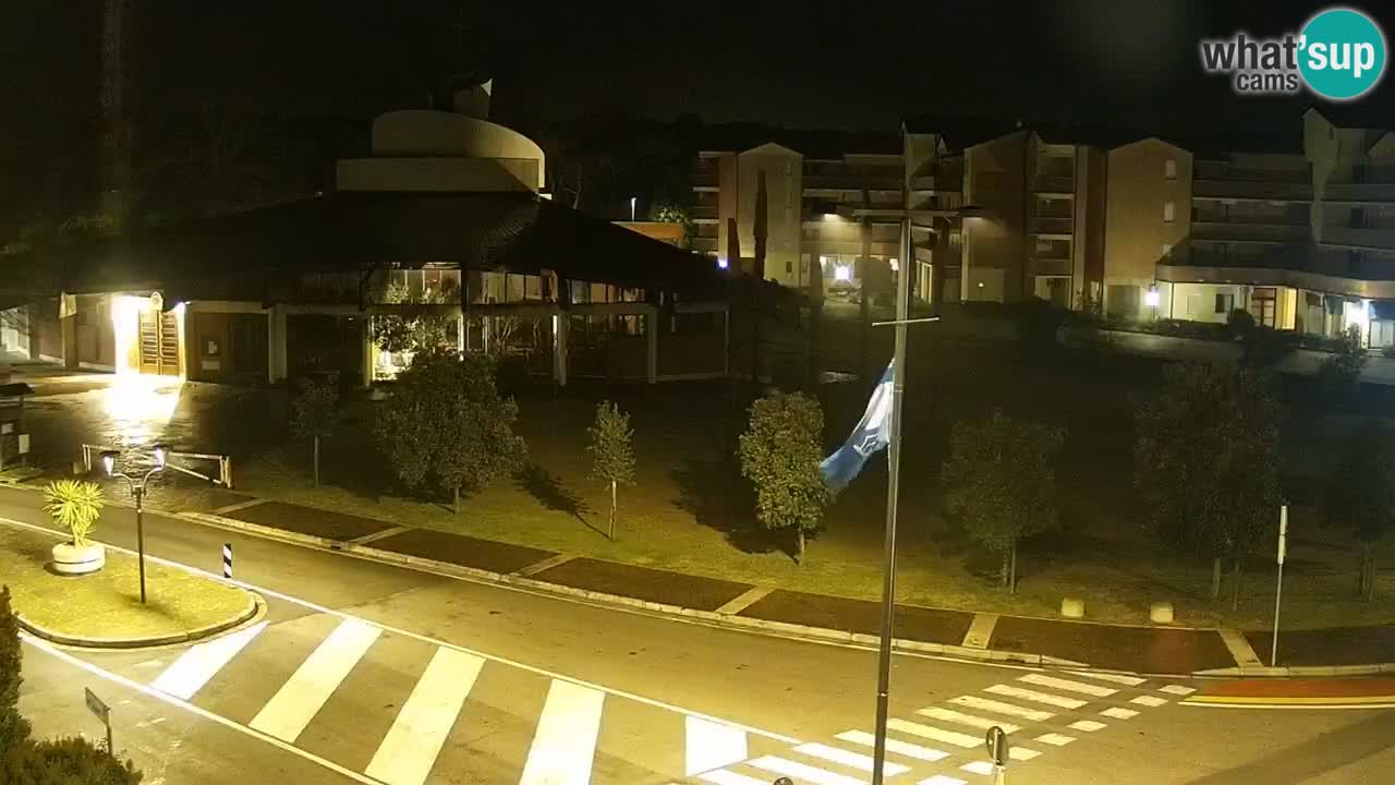 Livecam Rosolina mare