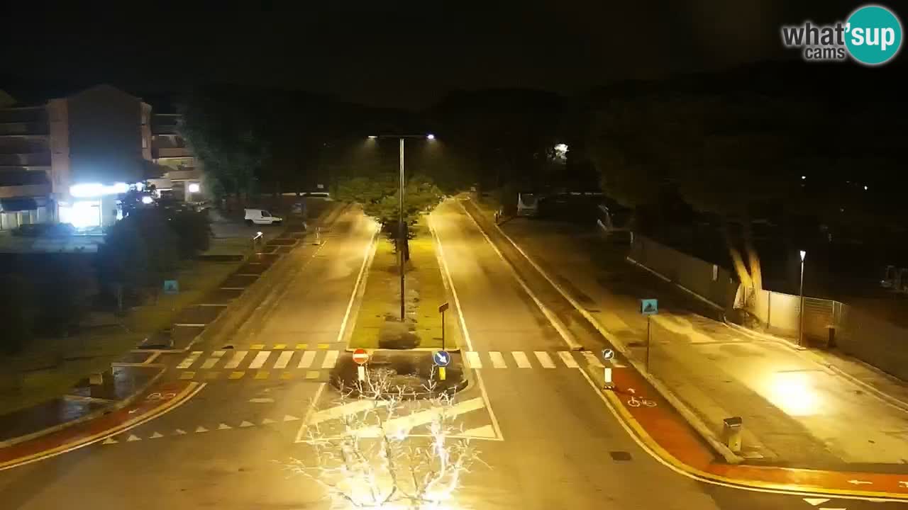 Livecam Rosolina mare