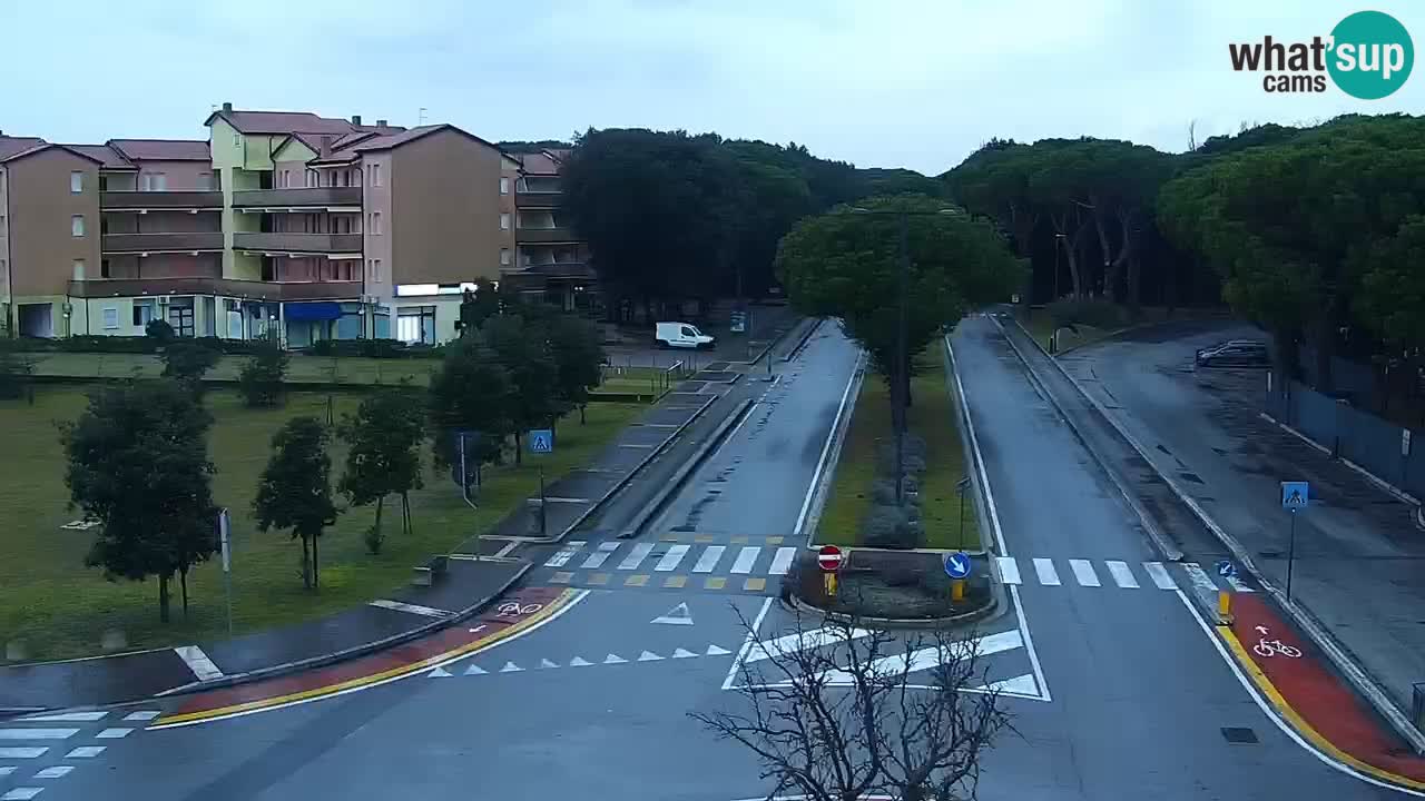 Camera en vivo Rosolina mare