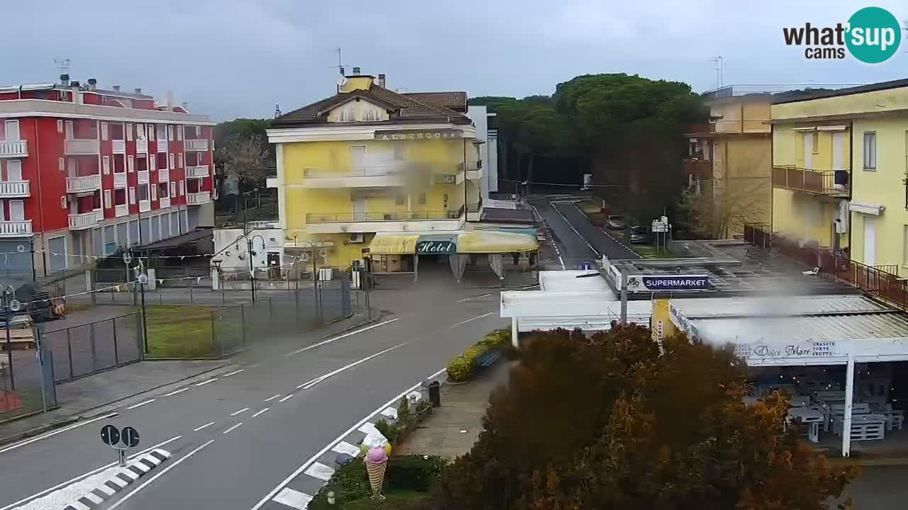 Livecam Rosolina mare