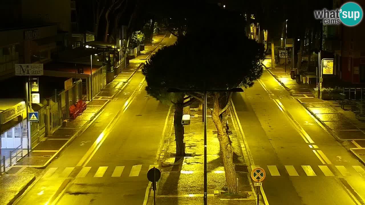 Livecam Rosolina mare