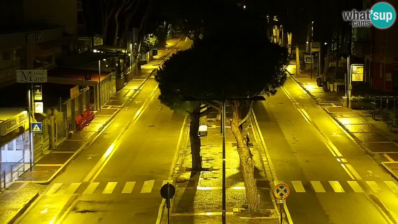 Livecam Rosolina mare