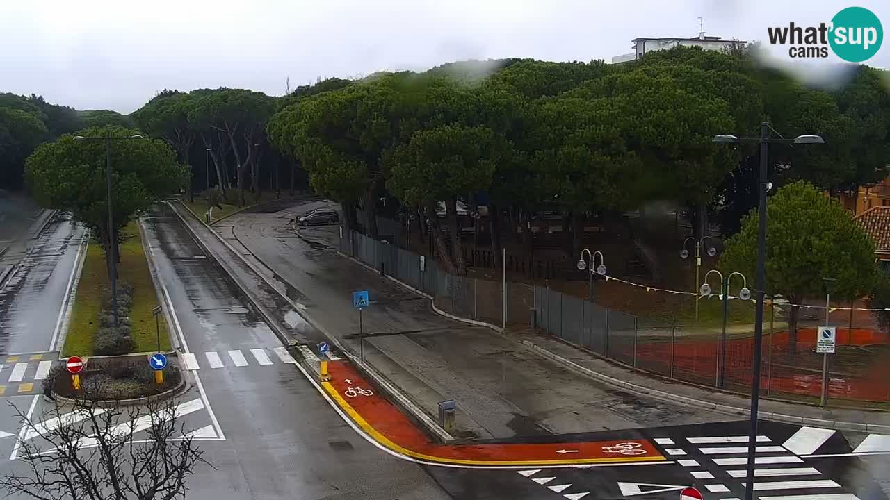 Web kamera Rosolina mare