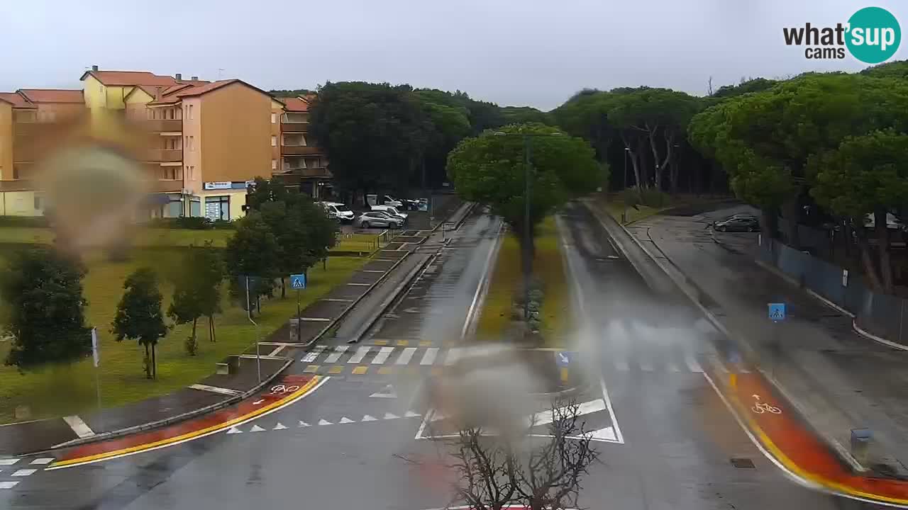 Camera en vivo Rosolina mare