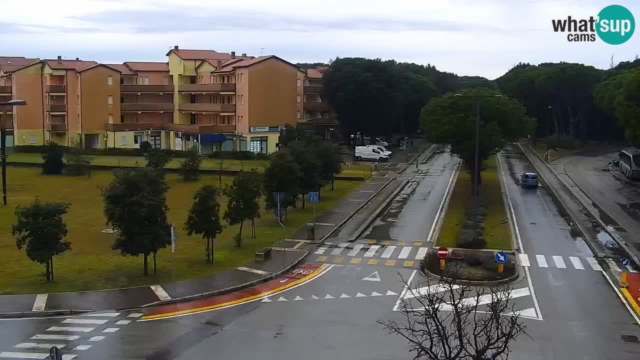 Livecam Rosolina mare